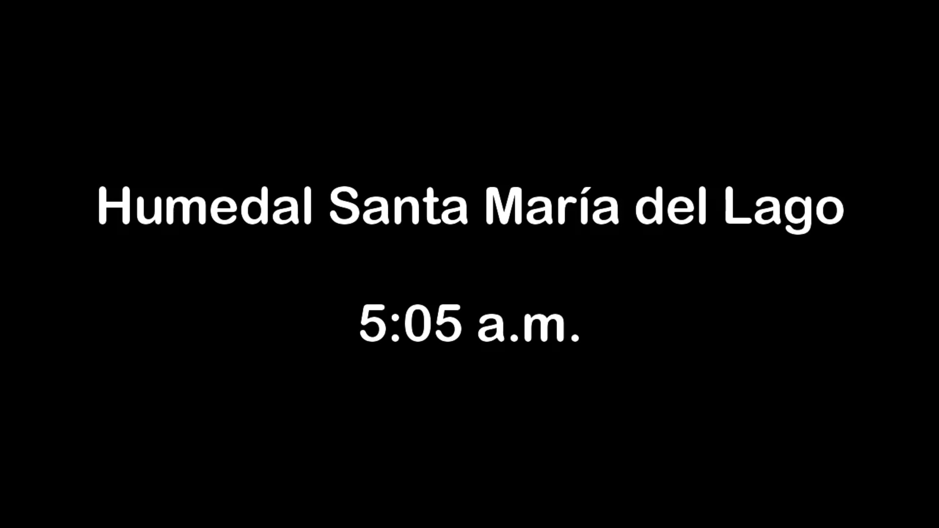 Despegue de aviones desde las 5:00am sobre Bogotá